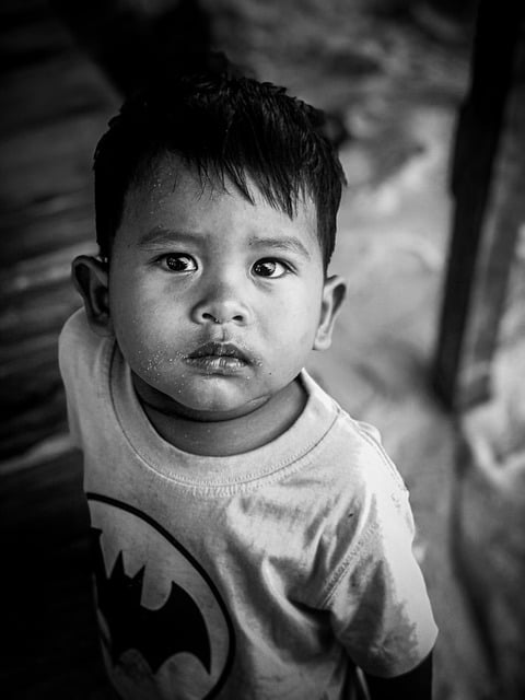 Free download kid boy portrait eye child free picture to be edited with GIMP free online image editor