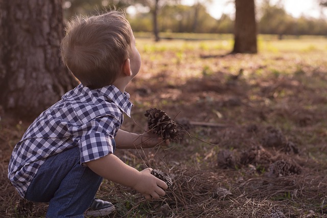 Free download kid exploring nature holiday free picture to be edited with GIMP free online image editor