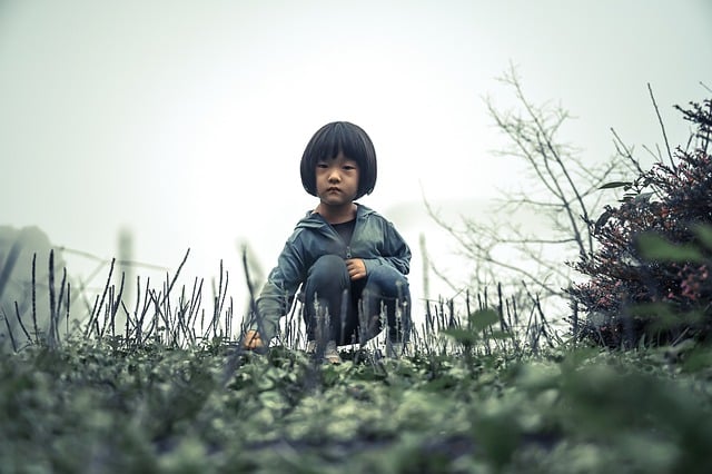 Free download kid green moody cool nature child free picture to be edited with GIMP free online image editor
