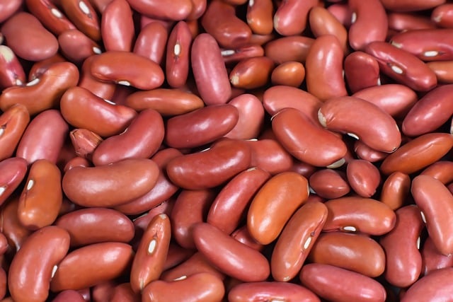 Free download kidney beans red beans beans food free picture to be edited with GIMP free online image editor