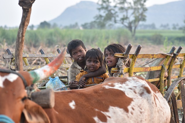 Free download kids india children playing free picture to be edited with GIMP free online image editor