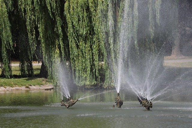 Bezpłatne pobieranie Kielce Park Green - darmowe zdjęcie lub obraz do edycji za pomocą internetowego edytora obrazów GIMP