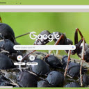 Kien Den  screen for extension Chrome web store in OffiDocs Chromium