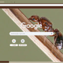 Kien Do  screen for extension Chrome web store in OffiDocs Chromium