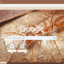 Kien Vang  screen for extension Chrome web store in OffiDocs Chromium