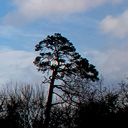 Killarney Ireland  screen for extension Chrome web store in OffiDocs Chromium