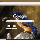 Kingfisher  screen for extension Chrome web store in OffiDocs Chromium