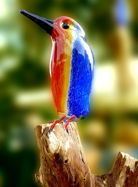 Free download Kingfisher Bird Animal -  free illustration to be edited with GIMP free online image editor