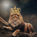 King of the jungle  screen for extension Chrome web store in OffiDocs Chromium