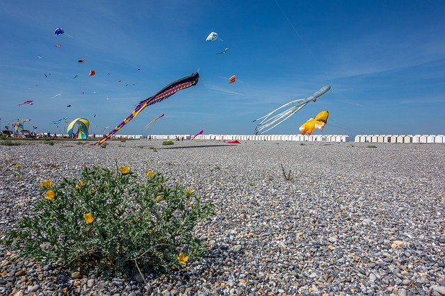 Bezpłatne pobieranie Kite Festival Beach - bezpłatne zdjęcie lub obraz do edycji za pomocą internetowego edytora obrazów GIMP