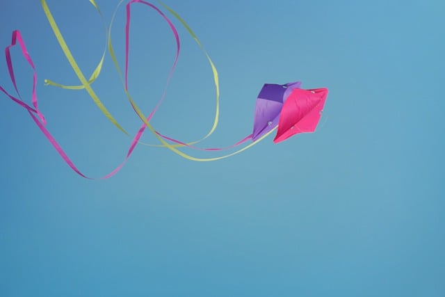 Darmowe pobieranie kiteflying sky kites darmowe zdjęcie do edycji za pomocą darmowego edytora obrazów online GIMP