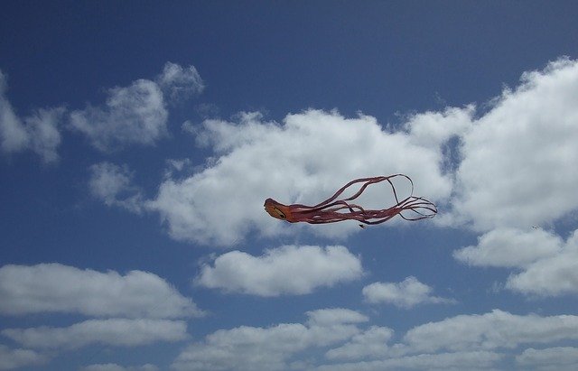 Gratis download Kite Sky Clouds - gratis foto of afbeelding om te bewerken met GIMP online afbeeldingseditor