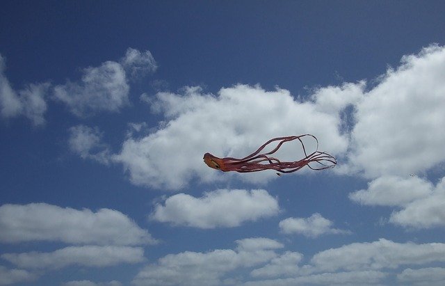 ດາວ​ໂຫຼດ​ຟຣີ Kite Sky Clouds - ຮູບ​ພາບ​ຟຣີ​ຫຼື​ຮູບ​ພາບ​ທີ່​ຈະ​ໄດ້​ຮັບ​ການ​ແກ້​ໄຂ​ກັບ GIMP ອອນ​ໄລ​ນ​໌​ບັນ​ນາ​ທິ​ການ​ຮູບ​ພາບ​