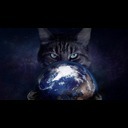 Kitten Chaos  screen for extension Chrome web store in OffiDocs Chromium