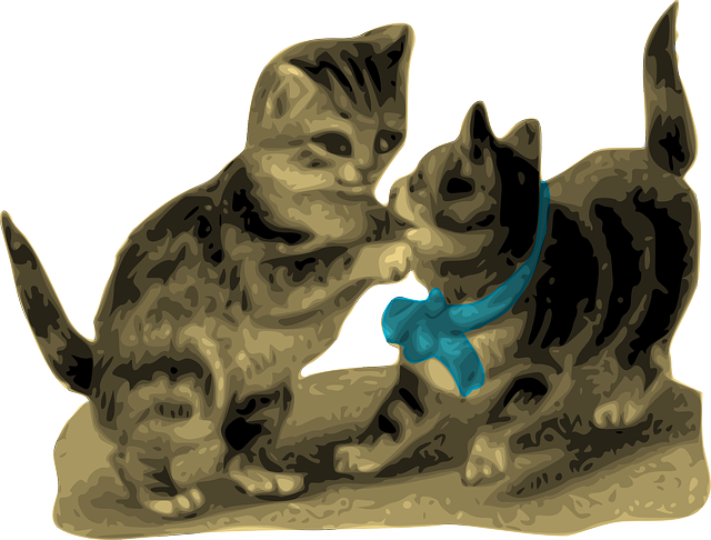 Free download Kittens Cats Playing - Free vector graphic on Pixabay free illustration to be edited with GIMP free online image editor