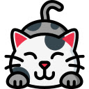 Kittens  Cats Wallpapers  screen for extension Chrome web store in OffiDocs Chromium