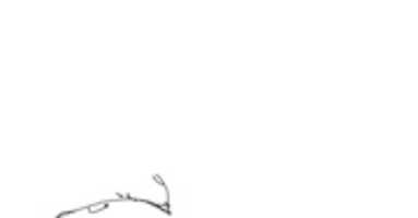 Free download kittspresso free photo or picture to be edited with GIMP online image editor