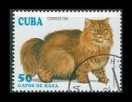Free download Kitty-Cats on Worldwide Postage Stamps free photo or picture to be edited with GIMP online image editor