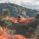 Kiyomizu Temple in Forest in Kyoto in Japan  screen for extension Chrome web store in OffiDocs Chromium