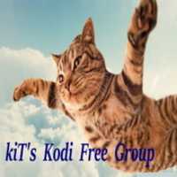 Free download Kkf 2 Small Cat free photo or picture to be edited with GIMP online image editor