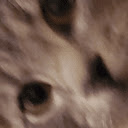 Kles Roblox Utilities  screen for extension Chrome web store in OffiDocs Chromium