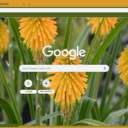 Kniphofia  screen for extension Chrome web store in OffiDocs Chromium