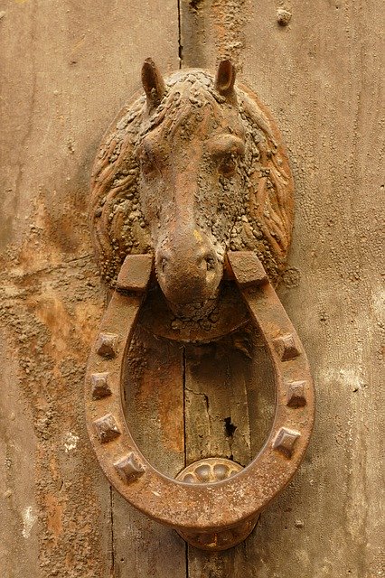 Template Photo Knocker Door Horse -  for OffiDocs