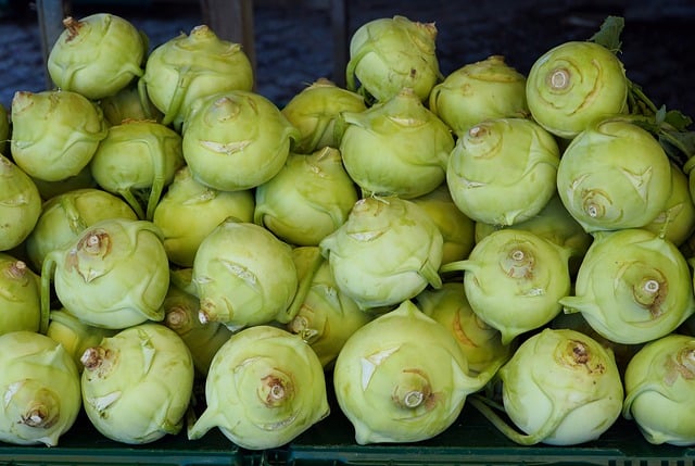 Free download kohlrabi vegetables healthy fresh free picture to be edited with GIMP free online image editor