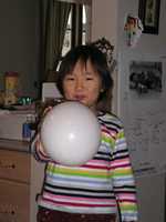 Free download Koji Shiguchi free photo or picture to be edited with GIMP online image editor