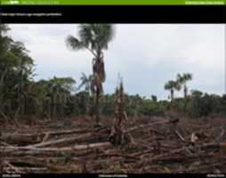 Free download kolombia_defo free photo or picture to be edited with GIMP online image editor