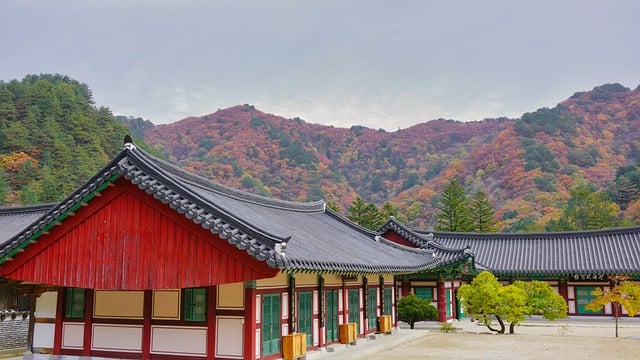 Free download korea autumn mountain temple maple free picture to be edited with GIMP free online image editor