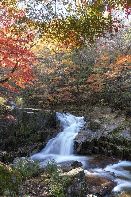 Free download Korea Autumn Nature The -  free photo or picture to be edited with GIMP online image editor