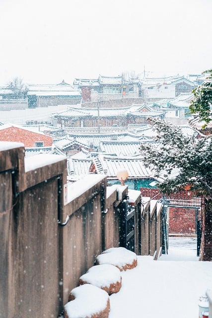 Scarica gratuitamente l'immagine gratuita della Corea di Seoul che costruisce la città invernale da modificare con l'editor di immagini online gratuito GIMP