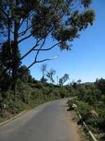 Free download kotagiri-trip free photo or picture to be edited with GIMP online image editor