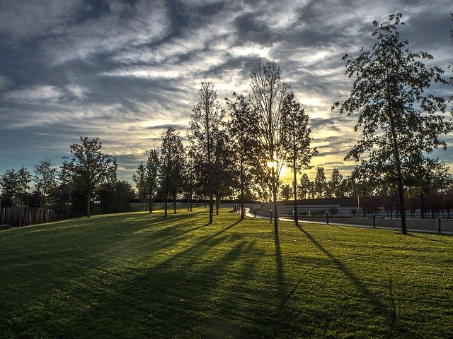 Ücretsiz indir Krasnodar Park Dawn - GIMP çevrimiçi resim düzenleyiciyle düzenlenecek ücretsiz fotoğraf veya resim