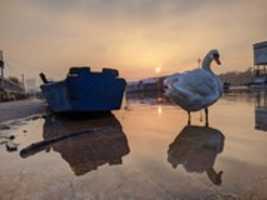 Free download kreoeabjhwes free photo or picture to be edited with GIMP online image editor