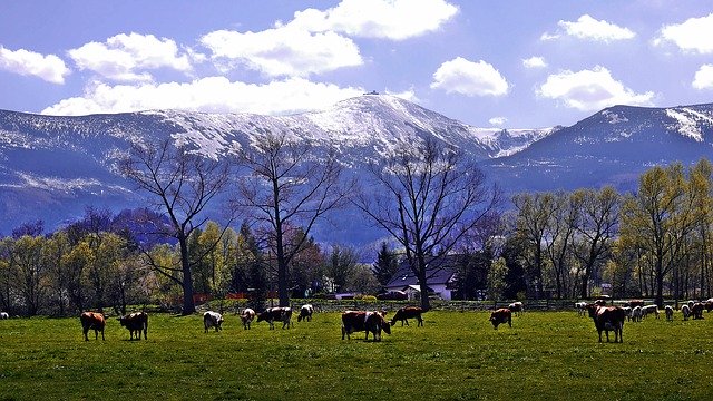 Descarga gratuita Montañas gigantes de Krkonoše: foto o imagen gratuita para editar con el editor de imágenes en línea GIMP