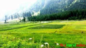 Free download kumratvalley.com free photo or picture to be edited with GIMP online image editor