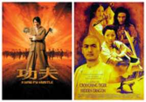 Free download Kung Fu And Tiger free photo or picture to be edited with GIMP online image editor
