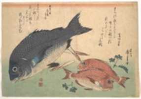 Free download Kurodai and Kodai Fish with Bamboo Shoots and Berries, from the series Uozukushi (Every Variety of Fish) free photo or picture to be edited with GIMP online image editor