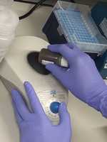 Free download KWR Micro Star 17 Microcentrifuge Loading free photo or picture to be edited with GIMP online image editor