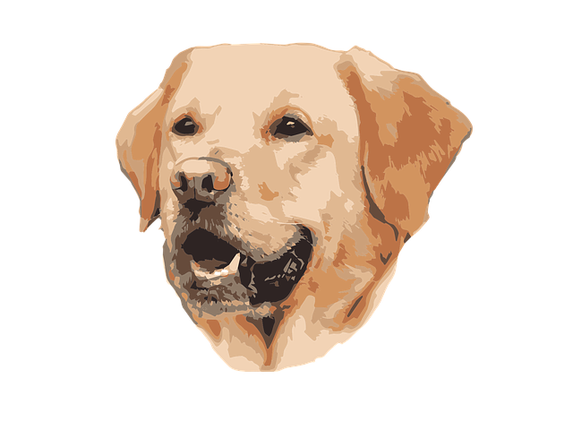 Free download Labrador Mistress Master - Free vector graphic on Pixabay free illustration to be edited with GIMP free online image editor