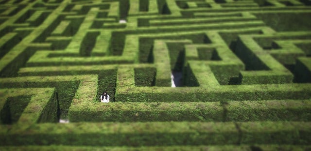 Free graphic labyrinth hedges woman hide exit to be edited by GIMP free image editor by OffiDocs
