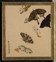 Free download Lacquer Paintings of Various Subjects: Butterflies free photo or picture to be edited with GIMP online image editor