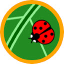 Ladybirds  screen for extension Chrome web store in OffiDocs Chromium