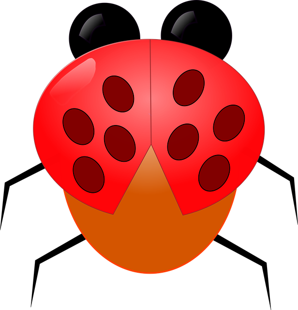 Free download Ladybug Animal Insects - Free vector graphic on Pixabay free illustration to be edited with GIMP free online image editor