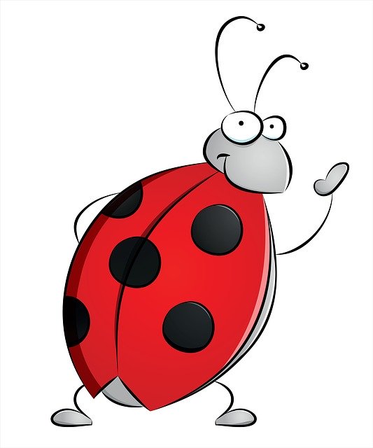 Free download Ladybug Dots Insect -  free illustration to be edited with GIMP free online image editor