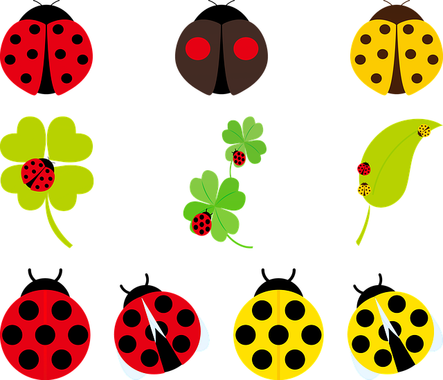 Ladybug Red Yellow 무료 다운로드 - 김프 무료 온라인 이미지 편집기로 편집할 수 있는 무료 일러스트레이션