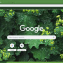 Lady’s Mantle  screen for extension Chrome web store in OffiDocs Chromium