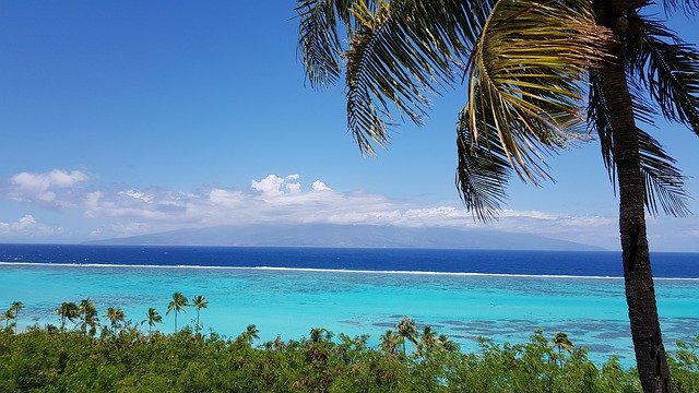 Free download Lagoon Moorea Island -  free photo or picture to be edited with GIMP online image editor